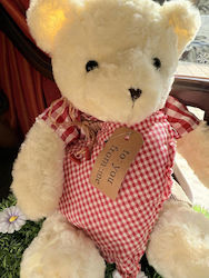 Teddy Bear 40 cm.