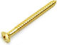 Fender Neck Plate Screw Gold