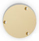 Les Paul Epiphone Switch Plate Cream
