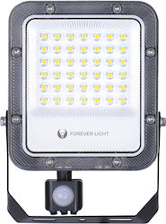 Forever Light Forever Light