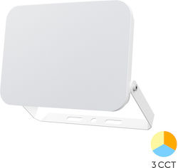Braytron Waterproof LED Floodlight 30W IP65