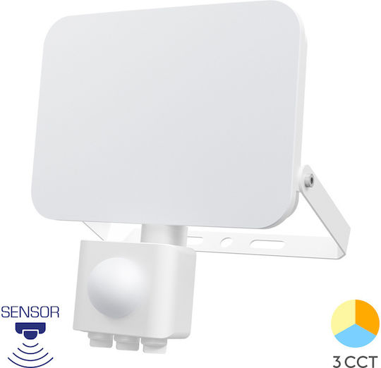 Braytron Στεγανός Προβολέας LED 30W Ρυθμιζόμενο Λευκό IP65