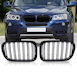 Διακοσμητική Μάσκα Αυτοκινήτου BMW X3 (F25)