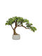 Bonsai Potted Plant 45cm Atmosphera