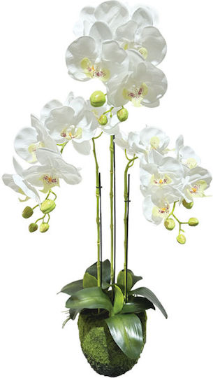 Orchidee in Topfpflanze Weiß 82cm Marhome