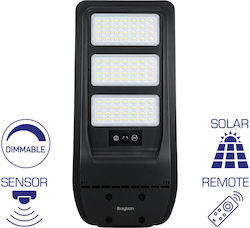Braytron Straßen-Solarlampe 50W