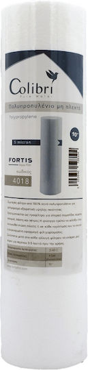 Atlas Filtri Water Filter Replacement Central Water Filtration System 20" Colibri Big Blue 20 μm