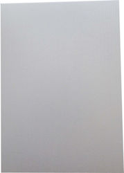 Z Druckerpapier 02502 Jade 215g/25 Blatt Z Druckerpapier 02502 Jade 215g/25 Blatt