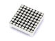 38mm 8*8 Square Matrix Led Matched Grove Blue Common Anode