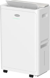Carrier Dual Clean with Ionizer 30lt/day Carrier Dual Clean with Ionizer 30lt/day