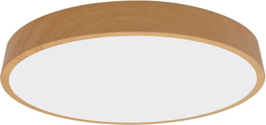 Redled Ceiling Mount Light