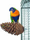 Perch Large Pinecone Birds Kingdom 13cm
