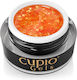 All Stars Builder Nagelgel Cupio Gold 15ml