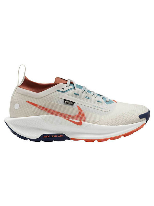 Nike Pegasus Sport Shoes Trail Running White