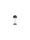 Trio Lighting Kunststoff Tischlampe LED mit Schwarz Schirm und Basis