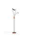 Trio Lighting Chris LED Floor Lamp with Warm White Light Brown