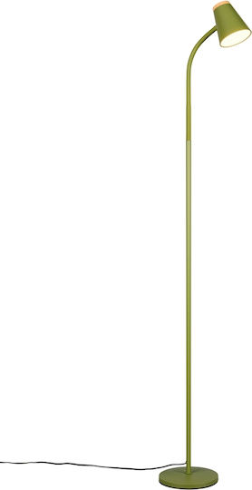 Trio Lighting R458311 Trio Lighting R458311