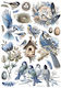 Rice Paper Decoupage Stamperia 21x29cm A4 Birds