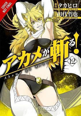 Akame Ga Kill Vol 12 Tetsuya Tashiro 1031, Tetsuya Tashiro Yen Vol. 12