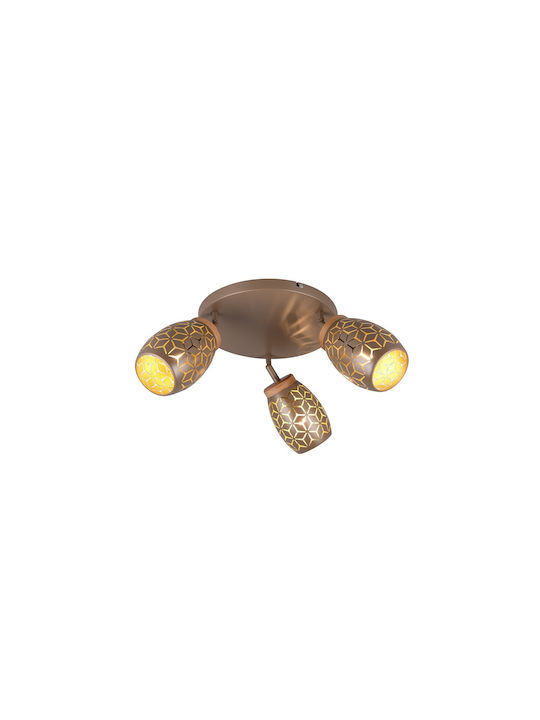 Trio Lighting Dreifach Spot in Braun Farbe
