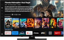 Horizon-Europe Smart 43" 4K QLED 43HQ8560U/D (2024)