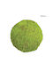 Green Moss Boxwood Ball Medium Ø35cm 2/kib 01-70028-8