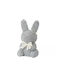 Beeindruckender Ewiger Hase 22x12cm Grau