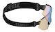 Bliz Breeze Nano Nordic Light Cycling Glasses