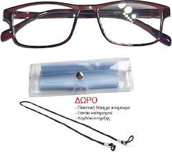 Panora Reading Glasses +1.00 in Brown color 14078