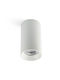 Faro Barcelona Outdoor Ceiling Light with Integrated LED in White Color 75304-122