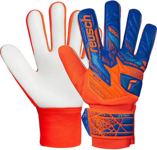 Reusch Reusch Attrakt Starter Solid Jnr Torwarthandschuhe Kinder Blau