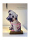 Lampensockel "Doggy"
