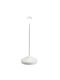 Zafferano Outdoor Floor Lamp LED Outdoor 2.2W IP54 White