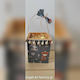 Decorative Lantern Animals