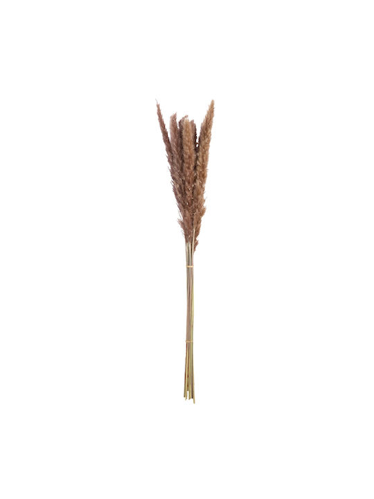 Bouquet of Artificial Flowers Pampas Grass Brown 70cm ArteLibre