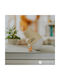 Mary's Led Kids Decorative Lamp 13x10.3x8.9εκ.