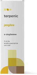 Terpenic Βιολογικό Αιθέριο Έλαιο Ginger 5ml