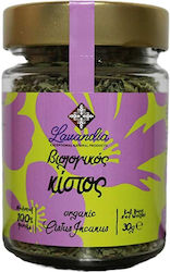 Lavandia Κίστος Βιολογικό 40gr