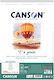 Μπλοκ Canson Σπιραλ Σχεδίου Ca Grain A3+ 180gr 30φ