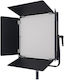 Newell Newell Rgb Vividha Effect Lumină LED