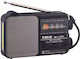 Cmik MK-153BT Mini Radio Battery with USB Gray