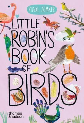 Little Robin's Book Of Birds Yuval Zommer 0204