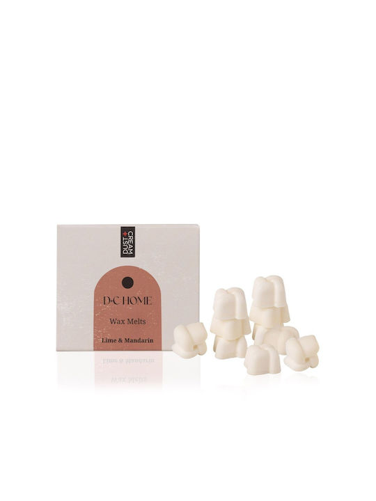 Dust+Cream Wax Melt Parfumat 500-74-003 6gr