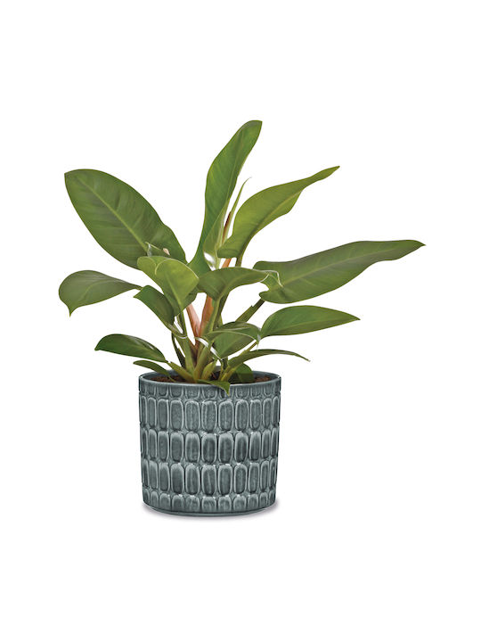 Scheurich Plant Pot Ceramic Multicolour