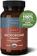TerraNova Microbiome Woman 50 растителни капсули