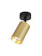 Eko Light Einzel Spot mit Fassung GU10 in Gold Farbe