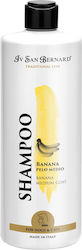 Iv San Bernard Bananen-Shampoo 500ml