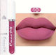 ShuShu Long Lasting Lichid Ruj Mat No.10 2.5ml