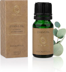 Essens Ulei Esențial Eucaliptus 10ml Essens Ulei Esențial Eucaliptus 10ml