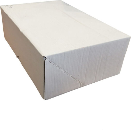 Packaging Box W30xD20xH10cm White E-shop